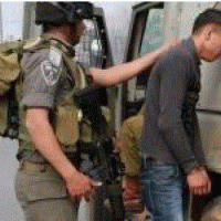 Soldiers Ransack Homes and Kidnap 17 Palestinians In Jenin